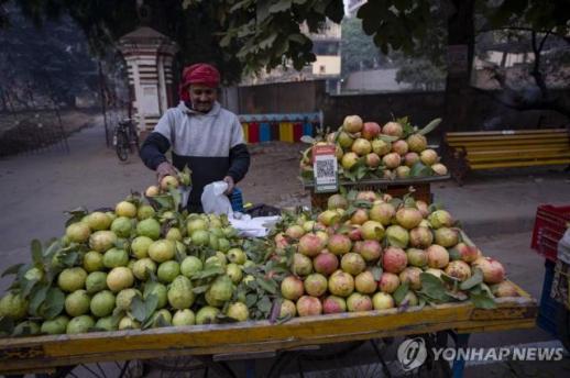 Nghiên cứu: Nước ổi có thể giúp cải thiện thiếu máu ở phụ nữ, hiệu quả hơn khi dùng cùng viên sắt