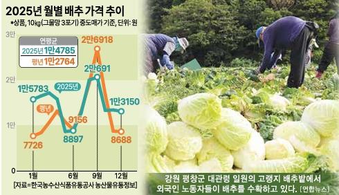 그래픽아주경제