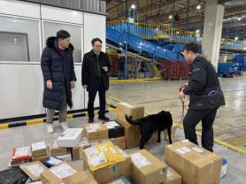AI Technology Competes with Drug Detection Dogs