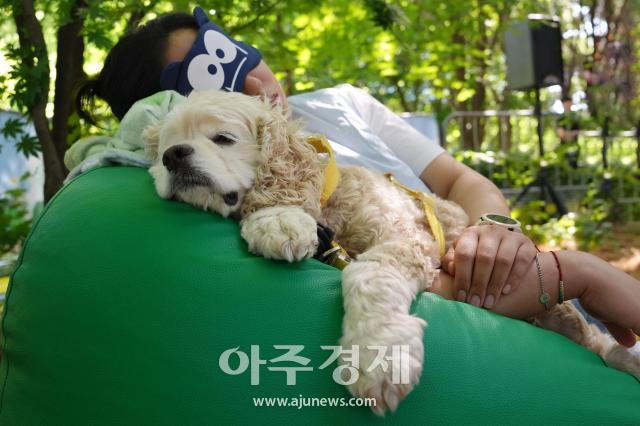 사진유대길 기자 dbeorlf123ajunewscom