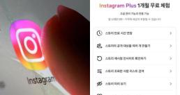 종합특검, 윤석열 소환…내달 6일 직권남용·13일 반란 혐의 조사
