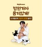 [안선영의 아주-머니] 10원이라도 더 싸게…고유가에 K-패스카드 발급량 60%↑
