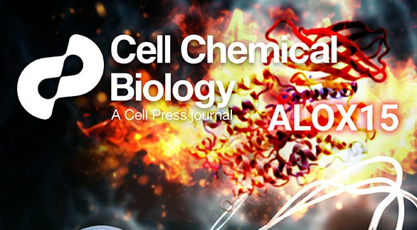 Researchers discover natural substance capable of slowing down cancer cell growth