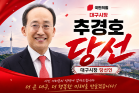 Choo Kyung-ho Wins Daegu Mayoral Election, Defends Conservative Stronghold