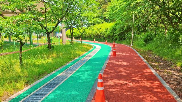 깨끗하게 정비된 완산생활체육공원 산책로사진전주시설공단