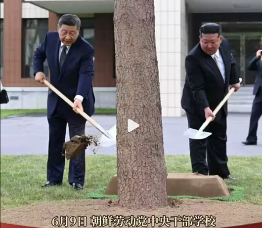 시진핑 중국 국가주석왼쪽과 김정은 북한 국무위원장이 9일 평양 중앙노동간부 학교에서 식수 행사를 하고 있다 