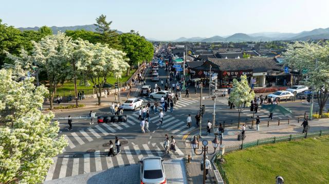 경주 황리단길과 대릉원 일대를 찾은 관광객들이 역사문화유산과 다양한 먹거리·관광 콘텐츠를 즐기고 있다 사진경주시