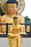 Spiritual Asia (9): Why Buddhist scriptures matter in the AI age