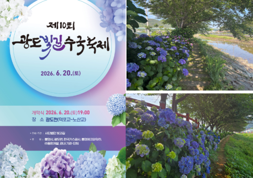 통영 광도빛길 수국축제, 열돌 맞아 확실한 변신
