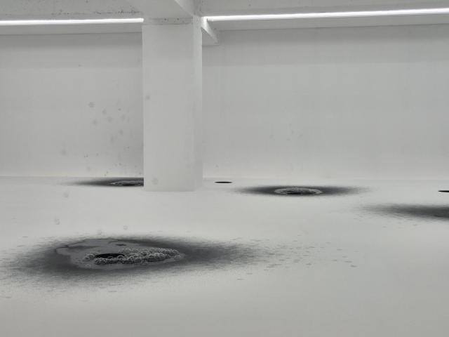 Exhibition view of Han Jin-soo's solo show 'A Pregnant Pause,' featuring the work 'Flower of Uncertainty.'