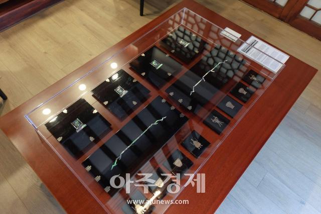 진현재사진유대길 기자 dbeorlf123ajunewscom