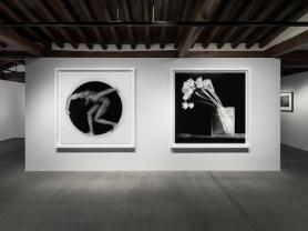 Robert Mapplethorpes The Poetics of Form Exhibition Showcases Classic Aesthetics