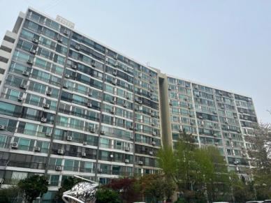 은마 재건축 사업시행인가 공람 돌입…49층·5850가구 공식화