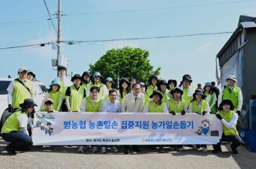 [보험업계 스냅샷] NH농협손보, 경기 화성 포도농가 찾아 일손돕기 진행 外