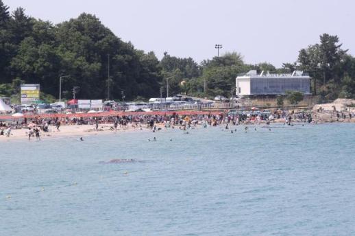 Weather Forecast: Most of the Country to Reach Around 30 Degrees Celsius