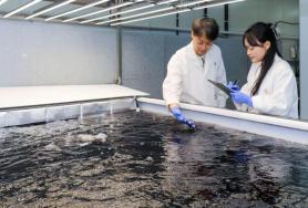 CJ CheilJedang to Launch Land-Based Seaweed Farming Facility in Cheonan