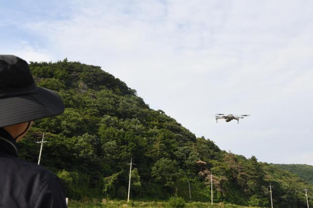 소나무재선충병 확산 방지를 위해 사람이 접근하기 어려운 험준한 산림지역에 드론을 활용한 항공예찰을 병행해 예찰의 효율성과 정확성을 높이고 있다사진전남도