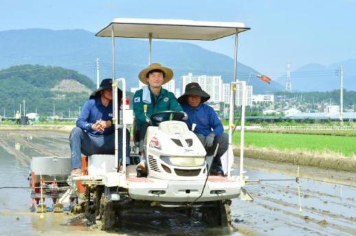 경산시, 와촌면서 무논직파 시연회…일손 부족 해법 찾는다