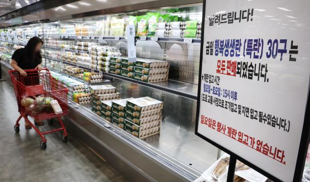 South Korea to release 21 million imported eggs as bird flu squeezes supply