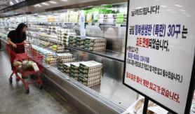 Seoul to release 21 million imported eggs as bird flu squeezes supply