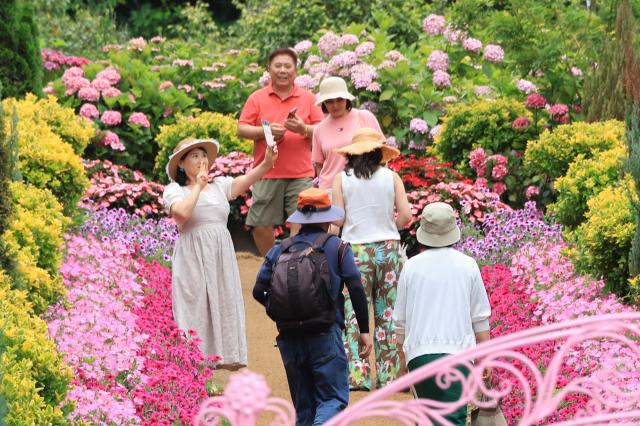 Botanical gardens become popular summer escapes