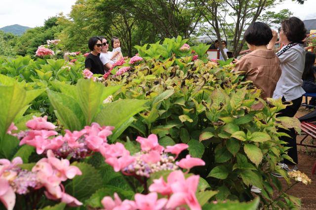Visitors admire flowers at Yulbom Botanical Garden in Gwangju Gyeonggi Province on June 22 2026 AJP Han Jun-gu