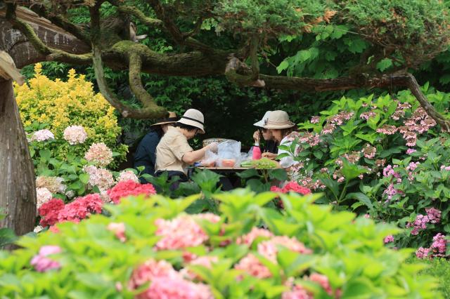 Visitors relax at Yulbom Botanical Garden in Gwangju Gyeonggi Province on June 22 2026 AJP Han Jun-gu