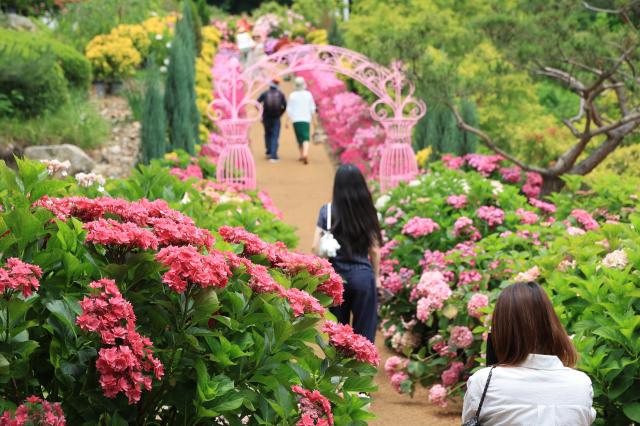 Visitors relax at Yulbom Botanical Garden in Gwangju Gyeonggi Province on June 22 2026 AJP Han Jun-gu