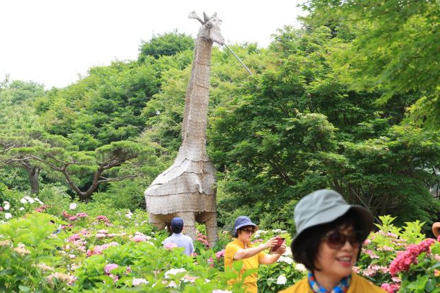 Visitors relax at Yulbom Botanical Garden in Gwangju Gyeonggi Province on June 22 2026 AJP Han Jun-gu