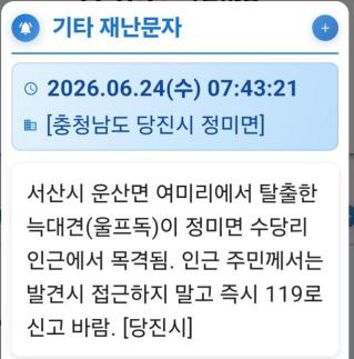 늑대개 돌아다닌다…서산 농가 탈출 늑대개, 당진까지 이동