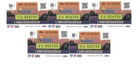 Lottery Winner Shares Dream of Stock Market Surge Amid Upcoming Draw