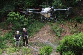 Seoul turns to water-spraying drones as lovebug season returns