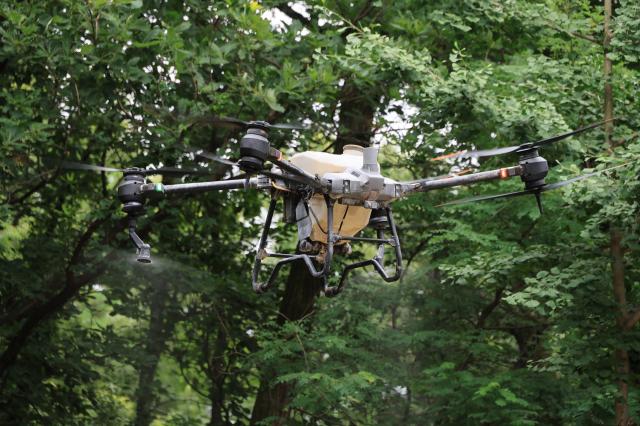 An eco-friendly water-spraying drone sprays water during a love bug control demonstration in the Bulamsan area of Nowon-gu Seoul on June 25 2026 AJP Han Jun-gu