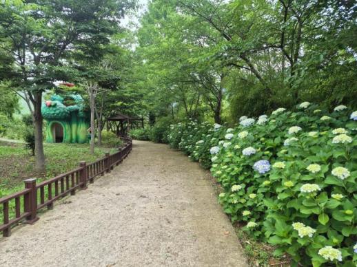 함평자연생태공원, 수국 개화 시작