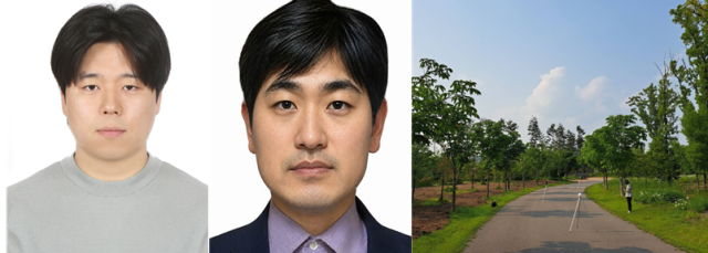 Korean researchers measure tree carbon with LiDAR