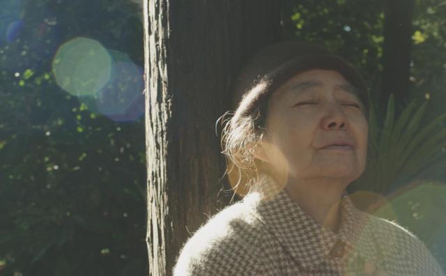 [사진=영화 '앙: 단팥 인생 이야기' 스틸컷]