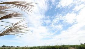 Weather Forecast: Clear Skies Expected Nationwide on Saturday