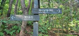 [원철스님의 가로세로] 백사실 계곡의 명당터에는 허(許)도사가 최초로 자리를 잡았다