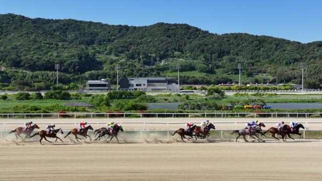 렛츠런파크 부산경남 경주 장면사진렛츠런파크 부산경남