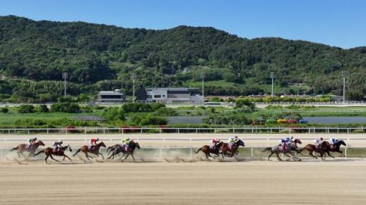 렛츠런파크 부산경남 7월 경마 60개 경주 편성