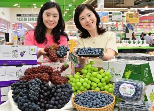 Nônghyup Hàn Quốc giới thiệu nho và việt quất nội địa vào mùa, giàu chất chống oxy hóa giúp tăng cường sức khỏe mùa hè
