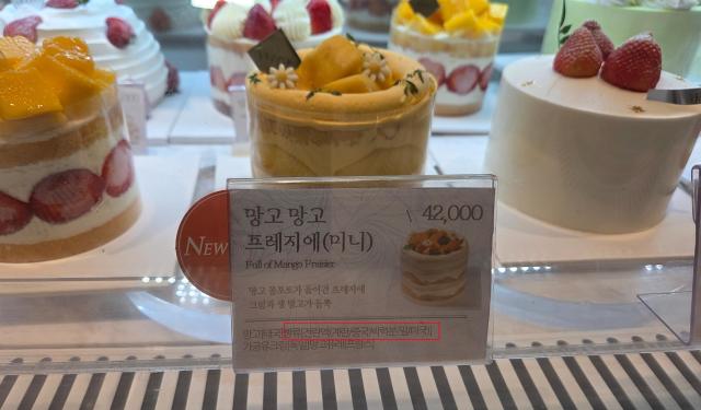 The 'Mango Mango Frigier Mini' product sold at Hyundai Department Store's Sinchon branch contains Chinese liquid egg as an ingredient.