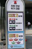 Public Sector Vehicle Restrictions Lifted Starting July 1