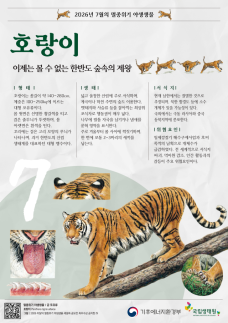 한반도 대표 맹수 호랑이, 7월 이달의 멸종위기 야생생물 선정