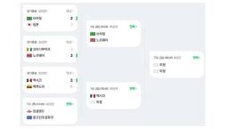 16강 빅매치 완성…브라질은 홀란, 프랑스는 '독일 킬러' 만난다