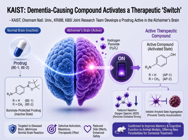 KAIST turns Alzheimers toxin into treatment switch