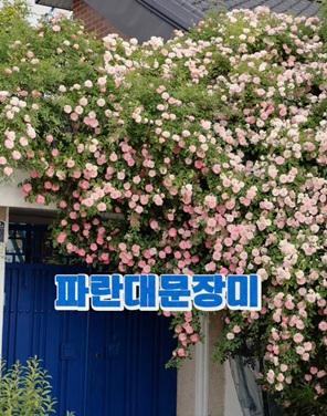 사진연합뉴스·소유주 SNS