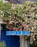 이달 활동 종료 종합특검, 통일교·양평·도이치 수사 총력