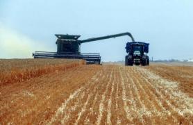 Global Food Prices Decline for Second Consecutive Month Amid Mixed Trends