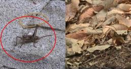 선관위 진상규명위, 노태악 등 전·현직 인사 12명 수사의뢰 권고...총체적 부실